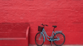 demo-attachment-1546-christian-stahl-xmGkzY-Fgg-unsplash@2x
