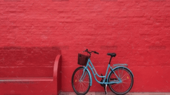demo-attachment-1546-christian-stahl-xmGkzY-Fgg-unsplash@2x